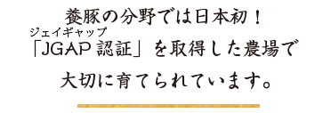 養豚の分野では日本初！「農場HACCP認証」を取得した農場で大切に育てられています。