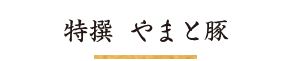 特選やまと豚