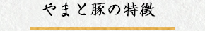 やまと豚の特徴